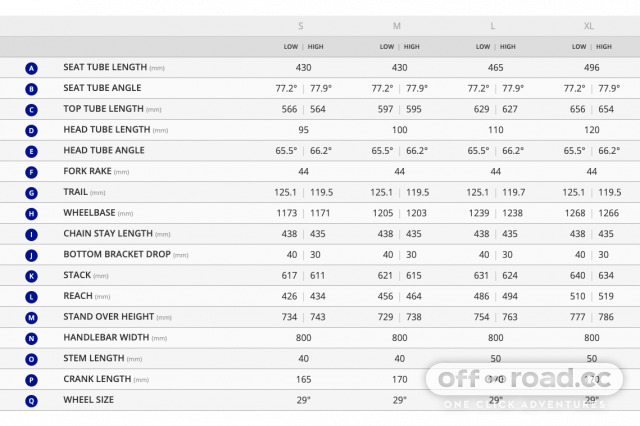 Giant roam size store chart